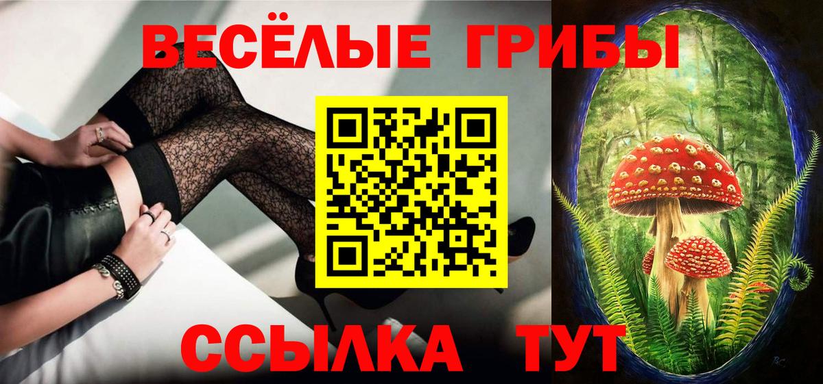 Галлюциногенные грибы Psilocybe Фролово